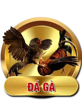 da-ga-ev88vip